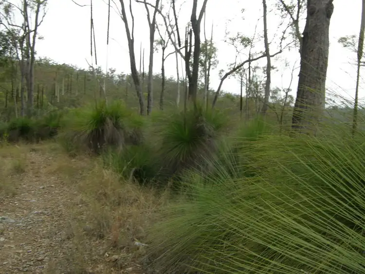 0 Jimmy Scrub Road, Manumbar QLD 4601