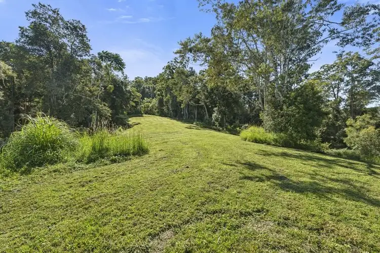 Fourth view of Homely land listing, 408 Bowraville Road, Bellingen NSW 2454