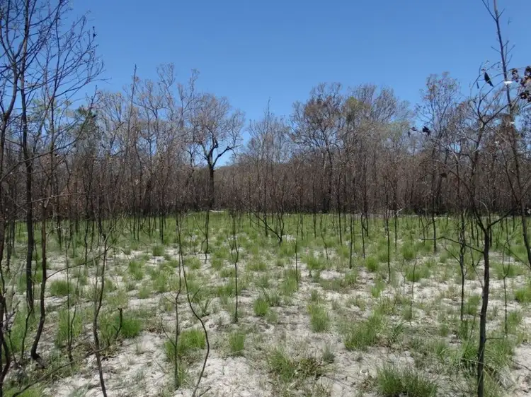 Main view of Homely rural property listing, Lot 27 Matchbox Road, Deepwater QLD 4674