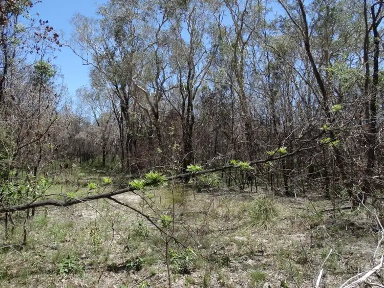 Second view of Homely rural property listing, Lot 27 Matchbox Road, Deepwater QLD 4674