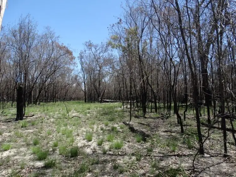 Sixth view of Homely rural property listing, Lot 27 Matchbox Road, Deepwater QLD 4674