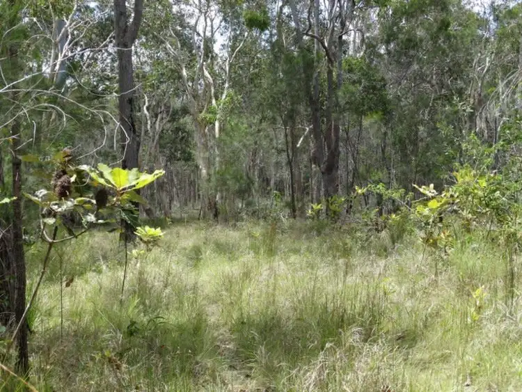 Fourth view of Homely rural property listing, Lot 37 Matchbox Road, Deepwater QLD 4674