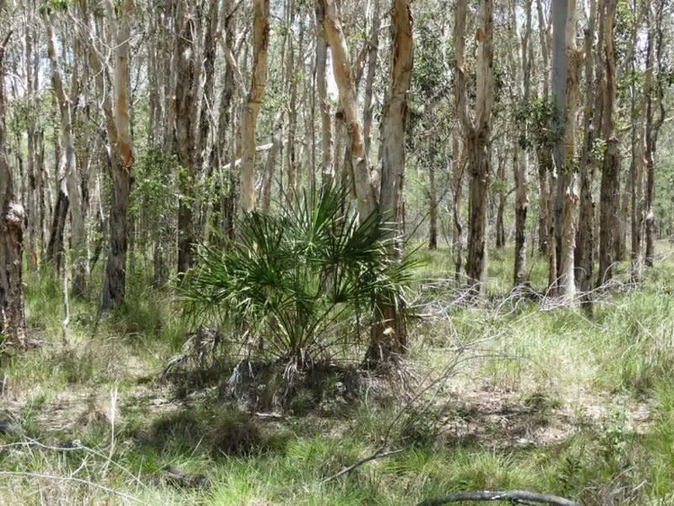 Fifth view of Homely rural property listing, Lot 37 Matchbox Road, Deepwater QLD 4674