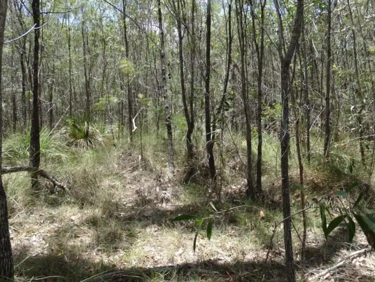 Seventh view of Homely rural property listing, Lot 37 Matchbox Road, Deepwater QLD 4674