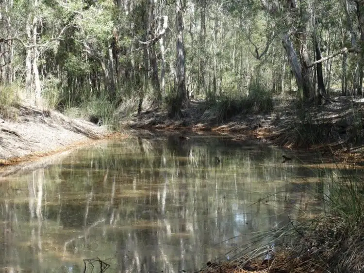 Third view of Homely rural property listing, Lot 211 Mollenhagens Road, Winfield QLD 4670