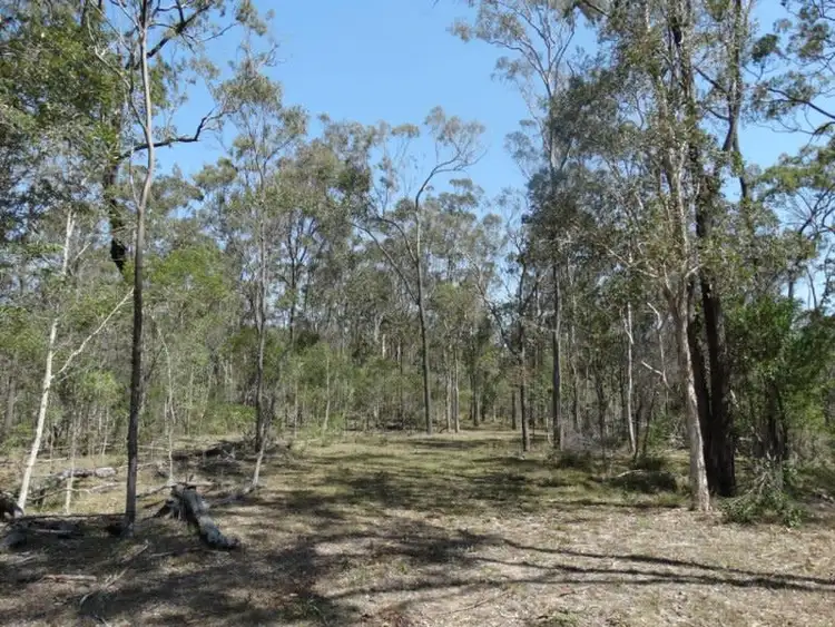 Fifth view of Homely rural property listing, Lot 211 Mollenhagens Road, Winfield QLD 4670