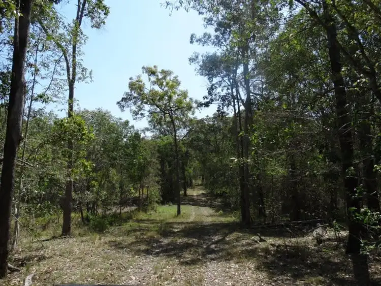 Sixth view of Homely rural property listing, Lot 211 Mollenhagens Road, Winfield QLD 4670