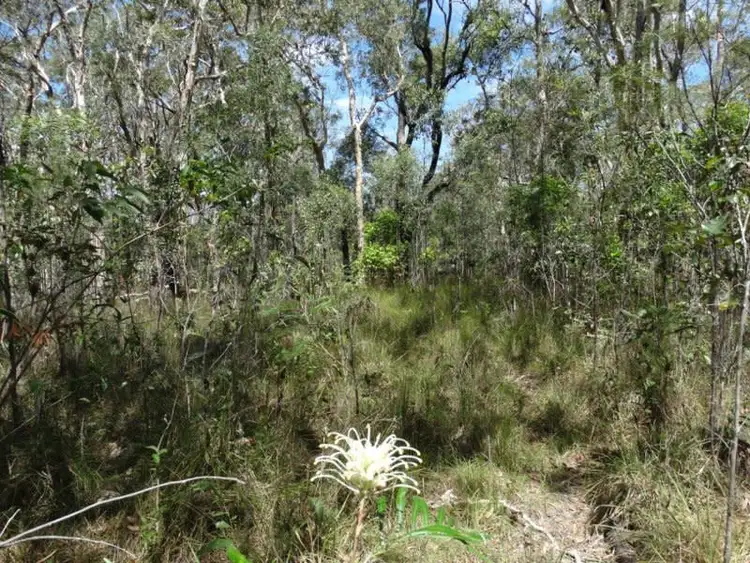 Sixth view of Homely rural property listing, Lot 33 Matchbox Road, Deepwater QLD 4674