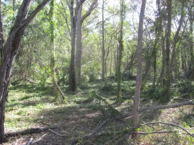 Sixth view of Homely rural property listing, Lot 92 Pacific Drive, Deepwater QLD 4674