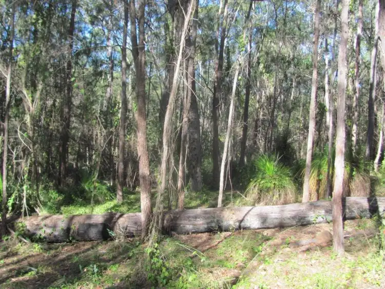 Seventh view of Homely rural property listing, Lot 92 Pacific Drive, Deepwater QLD 4674