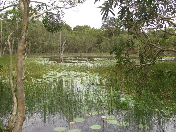 Fourth view of Homely rural property listing, 286 Littabella Siding Lane, Yandaran QLD 4673