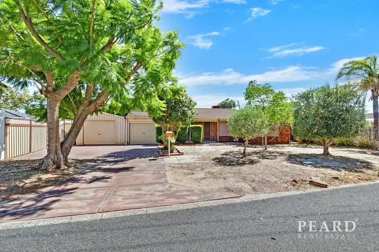 10 Cymosa Place, Mirrabooka WA 6061