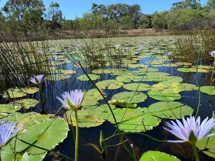 Fourth view of Homely rural property listing, 106 Matchbox Road, Deepwater QLD 4674