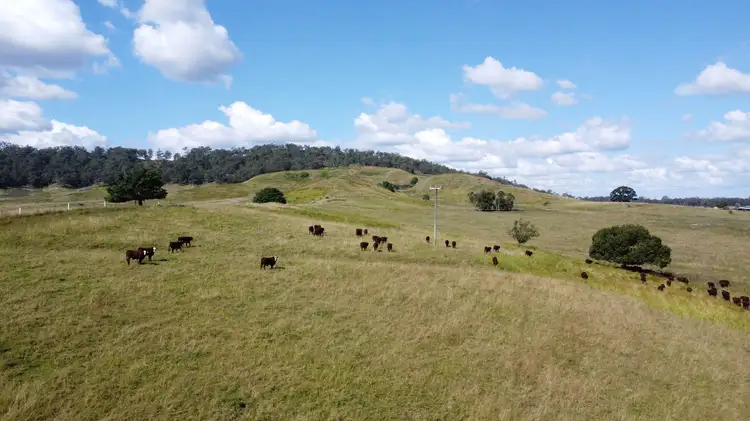 Second view of Homely rural property listing, 730 Reynolds Road, Backmede NSW 2470