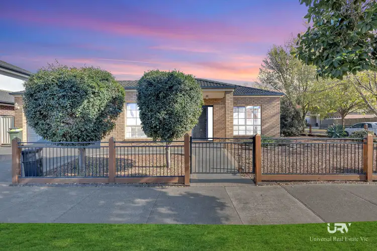 37 Chocolate Lilly Street, Epping VIC 3076