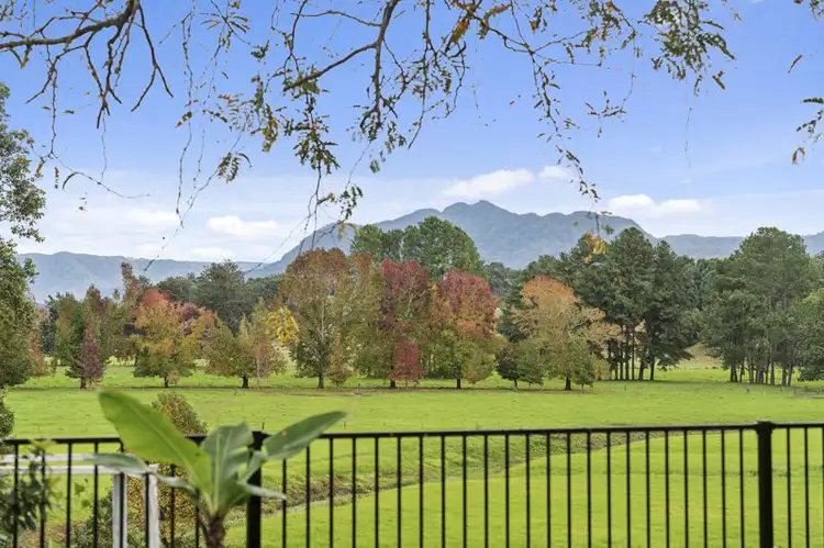 Main view of Homely house listing, 8 Hobson Close, Bellingen NSW 2454