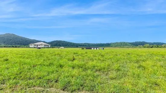 Third view of Homely house listing, 21 Barbagallo Road, Aloomba QLD 4871