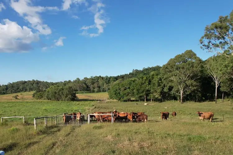 Third view of Homely house listing, 170 Mountney Rd, Sarina QLD 4737