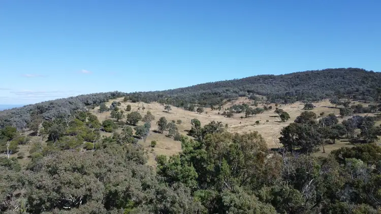 Main view of Homely rural property listing, 1713 Back Creek Road, Tenterfield NSW 2372