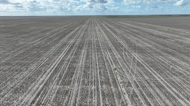 Third view of Homely rural property listing, Wynbar, Goodooga NSW 2838