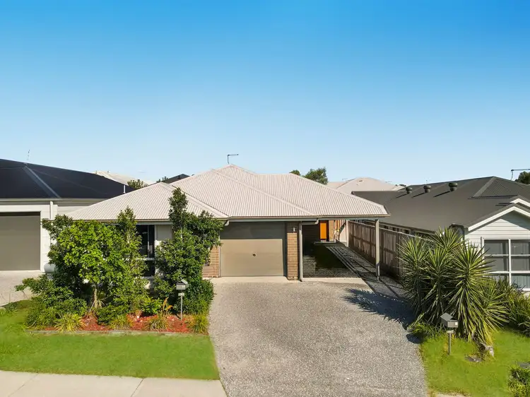 Main view of Homely house listing, 11 Sheepdog Road, Park Ridge QLD 4125