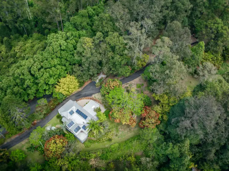Third view of Homely rural property listing, 136 Bowraville Road, Bellingen NSW 2454