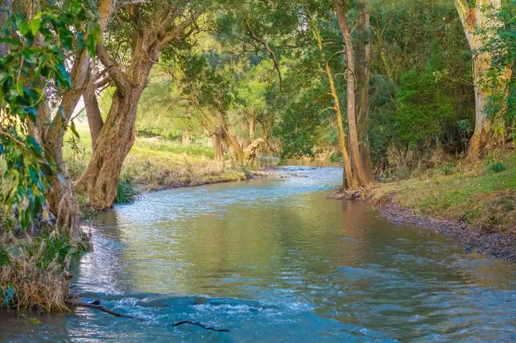 Third view of Homely rural property listing, 89 Mcmillans Road, Ellenborough NSW 2446