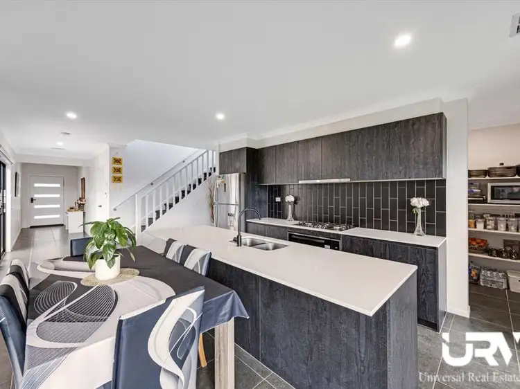 Third view of Homely house listing, 7 Numbat Drive, Beveridge VIC 3753