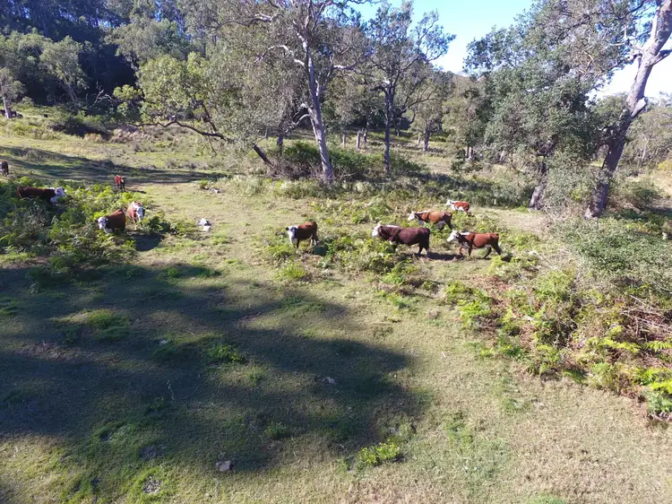 Third view of Homely rural property listing, 233 Sextonville Road, Doubtful Creek NSW 2470