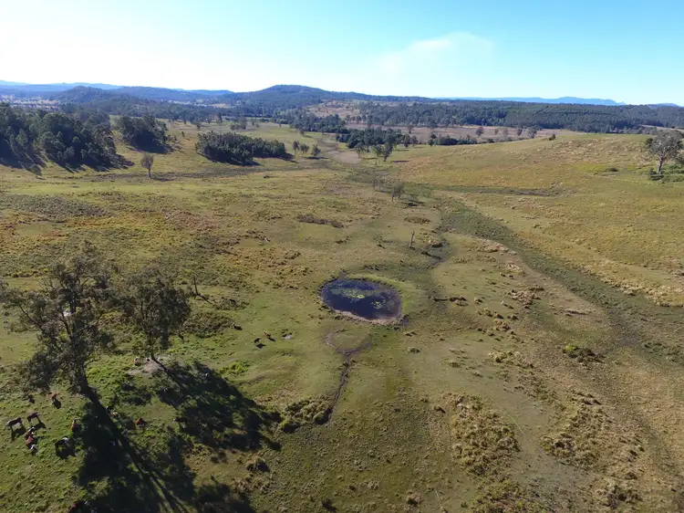 Fifth view of Homely rural property listing, 233 Sextonville Road, Doubtful Creek NSW 2470