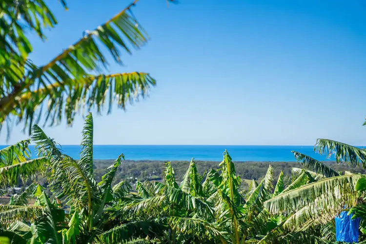 20 Puhos Road, Sandy Beach NSW 2456