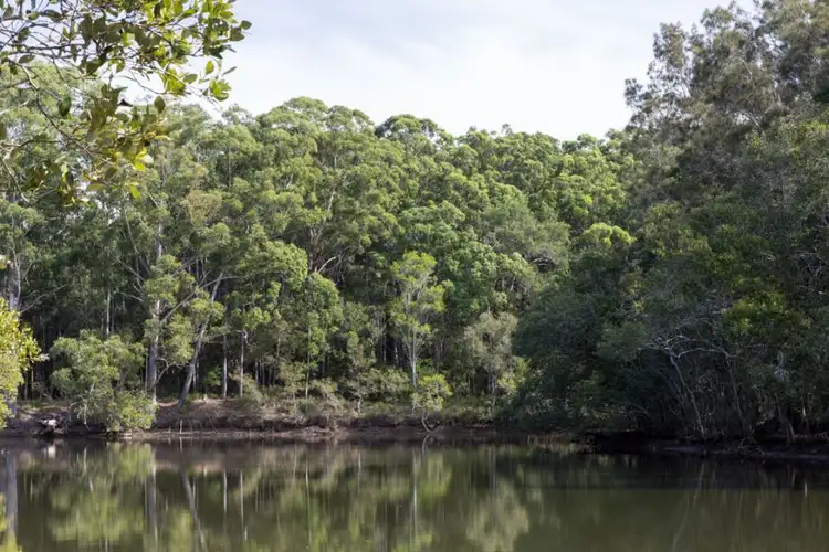 Third view of Homely land listing, Lot 7, 36 Shaws Close, Boambee East NSW 2452