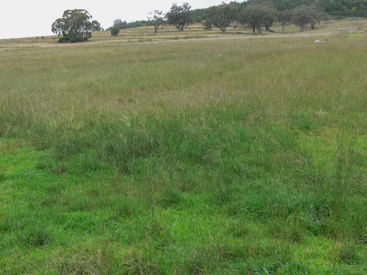 Fourth view of Homely rural property listing, The Glen, Berrigal NSW 2390