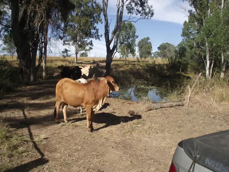 Second view of Homely land listing, 189 Hayes Road, Lower Wonga QLD 4570