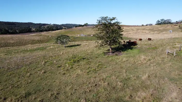 131 Leeses Road, Doubtful Creek NSW 2470