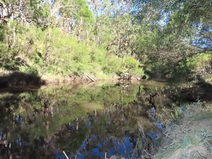 Second view of Homely land listing, 764 Rivertree Road, Liston NSW 2372