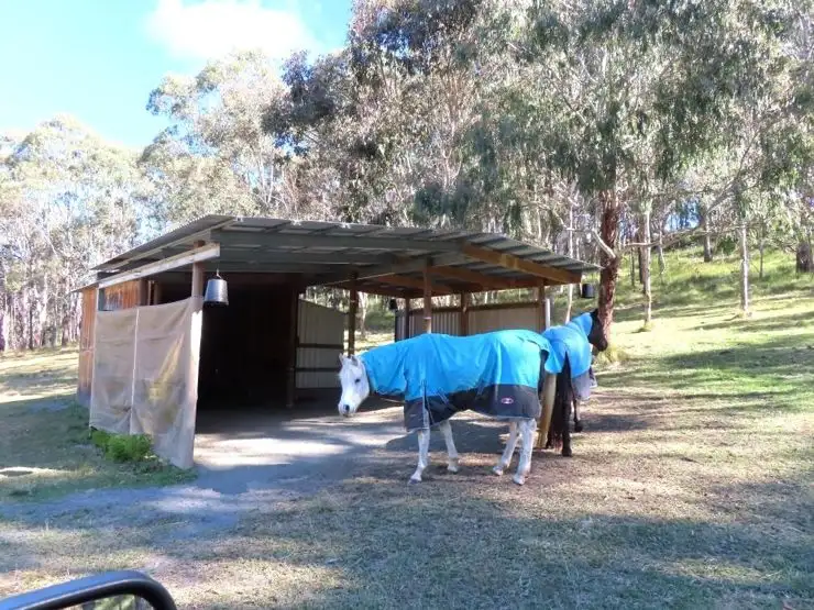 Fifth view of Homely land listing, 764 Rivertree Road, Liston NSW 2372