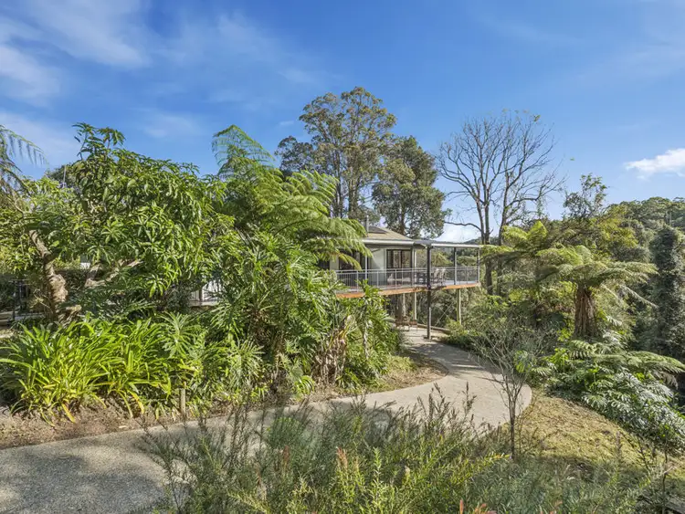 402 Bowraville Rd, Bellingen NSW 2454
