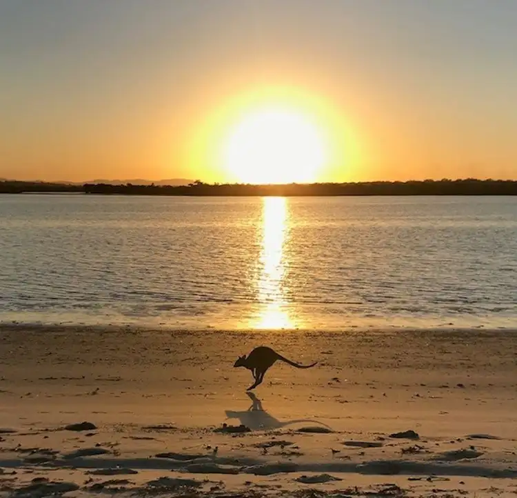 5507 Eco Cabin, Couran Cove Resort, South Stradbroke QLD 4216