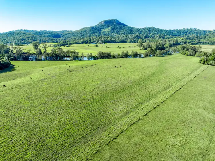 Seventh view of Homely land listing, Lot 4 91 Yandina Bli Bli Road, Yandina QLD 4561