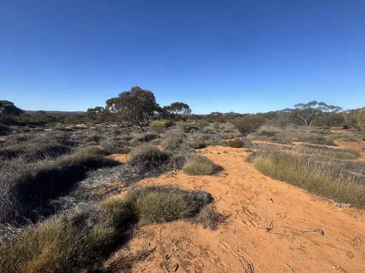 Fourth view of Homely rural property listing, Section 24 Woolford Road, Minbrie SA 5602