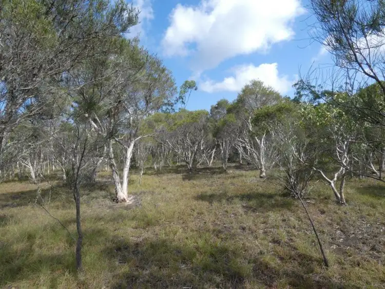 Sixth view of Homely rural property listing, Lot 10 Lindy Drive, Rules Beach QLD 4674