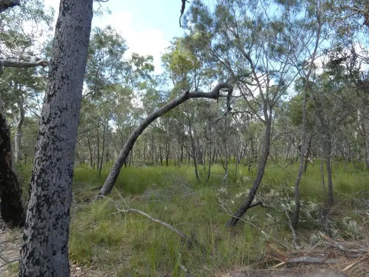 Seventh view of Homely rural property listing, Lot 10 Lindy Drive, Rules Beach QLD 4674