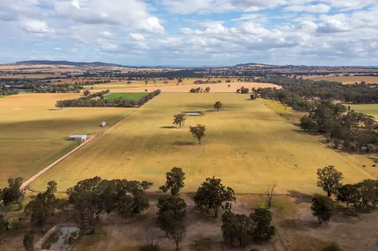 Second view of Homely rural property listing, Lot 13 99 Walla Cemetery Lane, Walla Walla NSW 2659