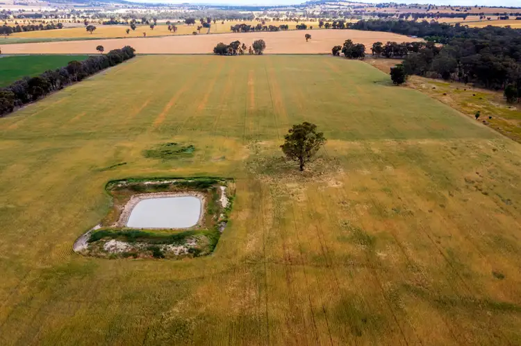 Sixth view of Homely rural property listing, Lot 13 99 Walla Cemetery Lane, Walla Walla NSW 2659