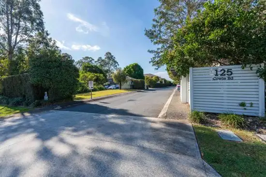 125 Cowie Road, Carseldine QLD 4034