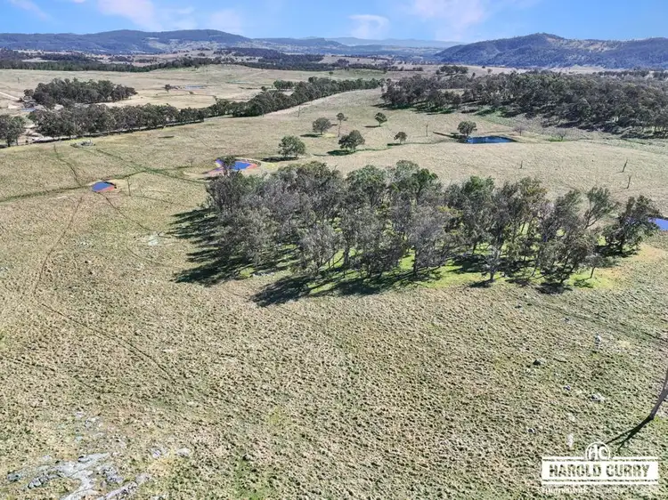 Main view of Homely rural property listing, Lot 25 Scrub Road, Tenterfield NSW 2372