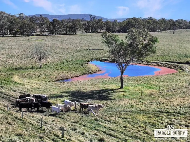 Fifth view of Homely rural property listing, Lot 25 Scrub Road, Tenterfield NSW 2372