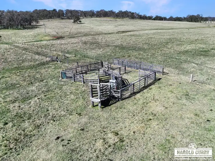 Sixth view of Homely rural property listing, Lot 25 Scrub Road, Tenterfield NSW 2372