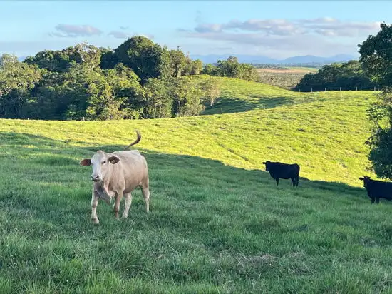 Lot 2 Dinner Creek Road, Eubenangee QLD 4860